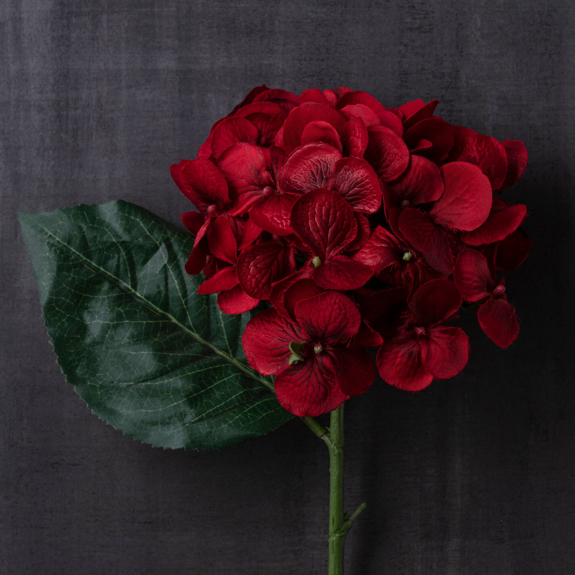12 Pack: Hydrangea Stem by Ashland